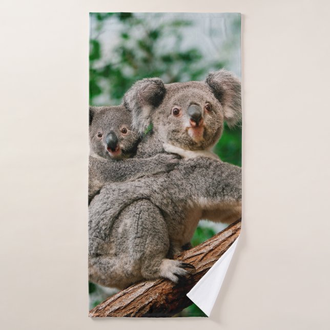 Koala, phascolarctos cinereus, hembra que te lleva (Toalla de baño)