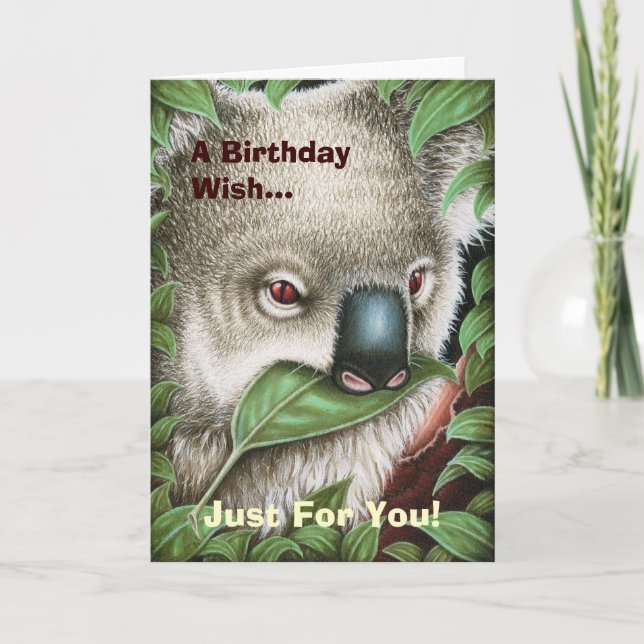 Koala que masca una tarjeta de cumpleaños de la (Anverso)