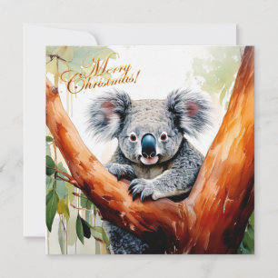 Koala sentado en un árbol de goma Feliz Navidad
