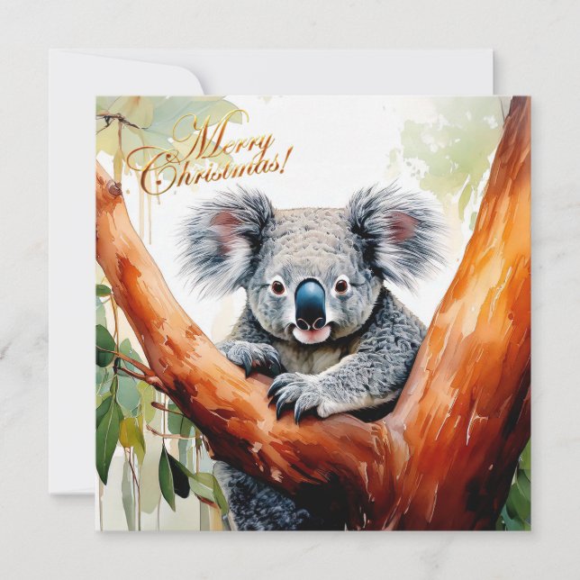 Koala sentado en un árbol de goma Feliz Navidad (Anverso)