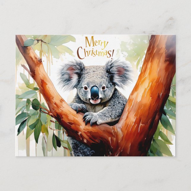Koala sentado en un árbol de goma Feliz Navidad (Anverso)
