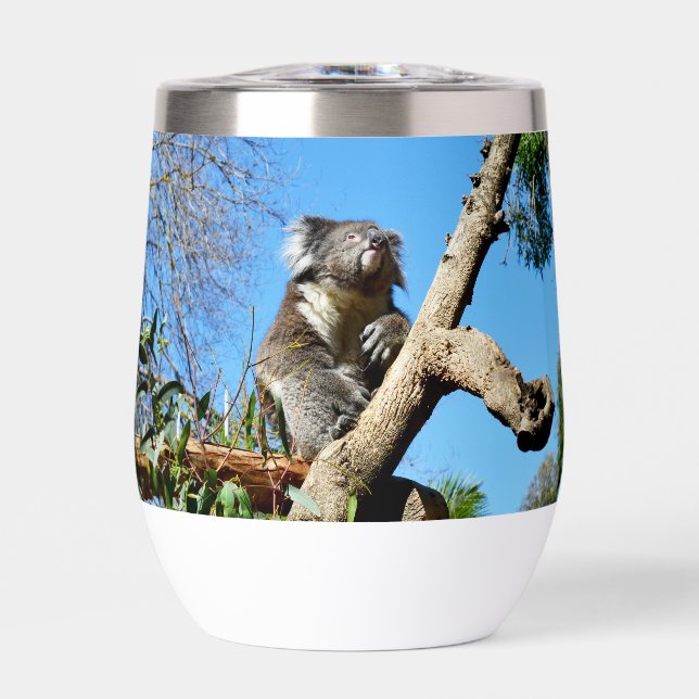 Koala Tiene Tiempo Para Reflexionar Sobre La Vida, (Frente)