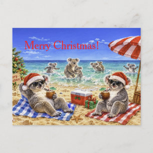 Koalas de Navidad en la playa