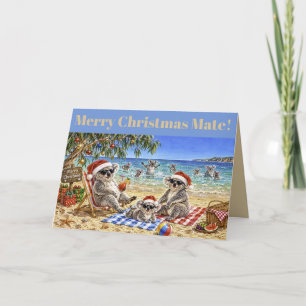 Koalas de Navidad en la playa