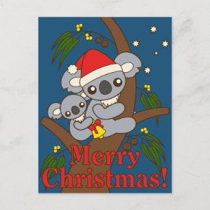 Koalas del navidad
