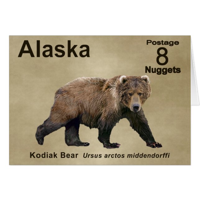 Kodiak Bear (Anverso (Horizontal))