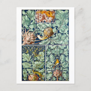 Kohlrabi como postal de objetos decorativos