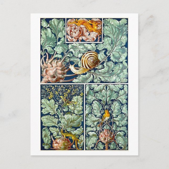 Kohlrabi como postal de objetos decorativos (Anverso)