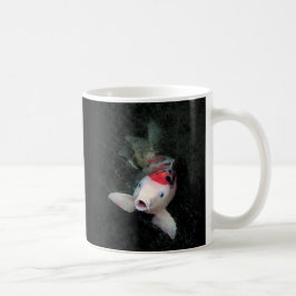 Koi (3) taza