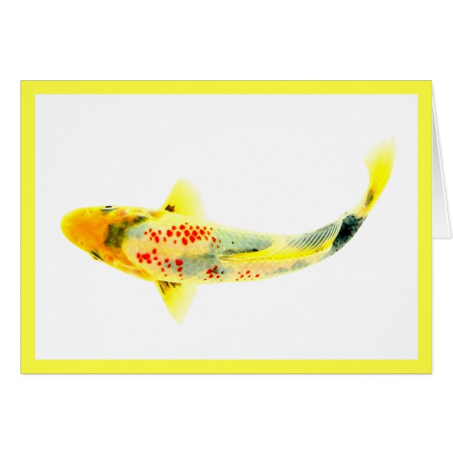Koi Amarillo (Anverso (Horizontal))