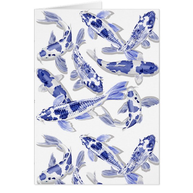 Koi azul y blanco (Frente)