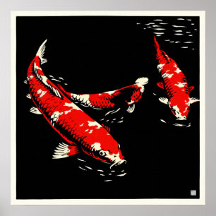 Koi - Impresión de Arte de Archivo
