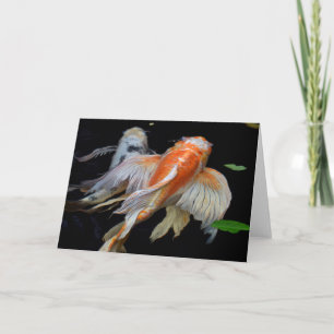 Koi Pacífico Fotografía de peces Koi en tarjeta