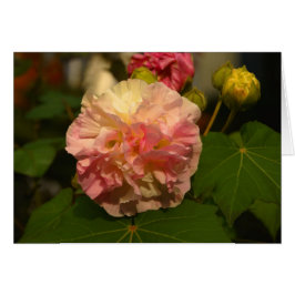 Koinonia "Beca En El Camino"