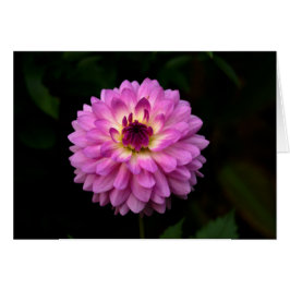 Koinonia "Beca En El Camino"