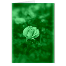 Koinonia "Beca En El Camino"