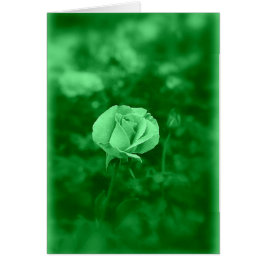 Koinonia "Beca En El Camino"