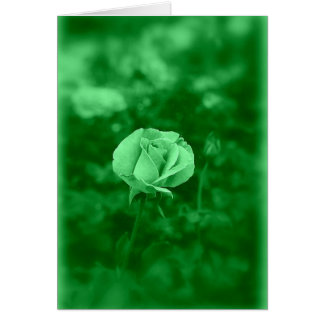 Koinonia "Beca En El Camino"