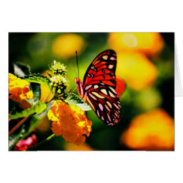 Koinonia "beca en la trayectoria "