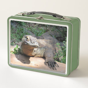 Komodo Dragon - Animal salvaje