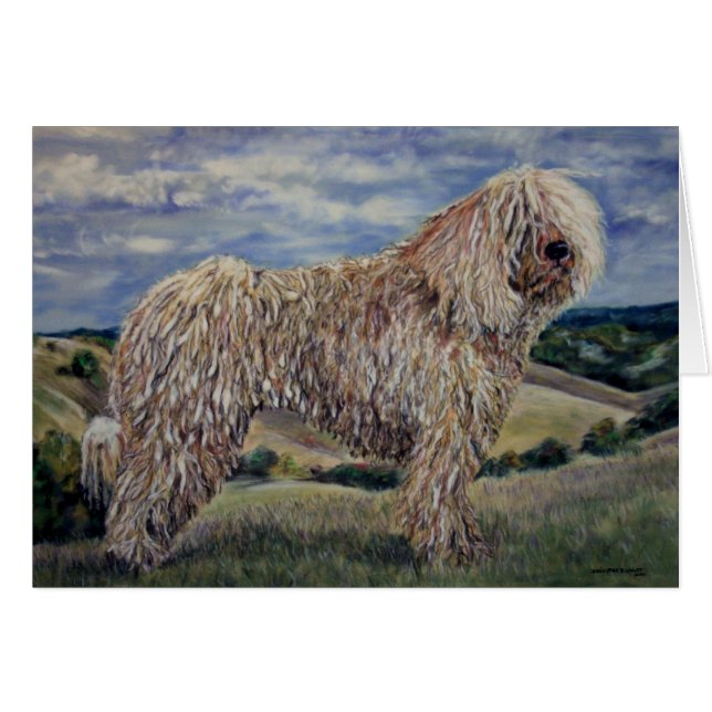Komondor (Anverso (Horizontal))