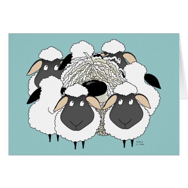 ¡Komondor - oveja perdida! (Anverso (Horizontal))