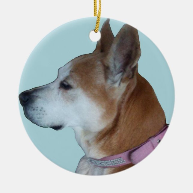 Kona para el ornamento de Maria (Frente)