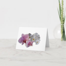 Konymoi "Bloom orquídea" tarjeta de felicitación p
