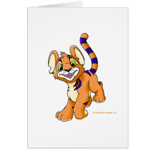 Kougra anaranjado aventurero