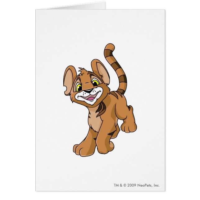 Kougra Brown (Frente)