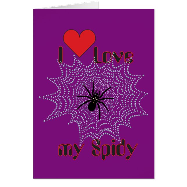 Kreuzspinne im Netz (Frente)