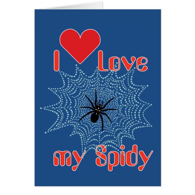 Kreuzspinne im Netz (Frente)