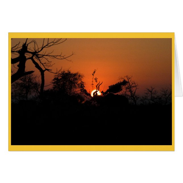 Kudu Sunset (Anverso (Horizontal))