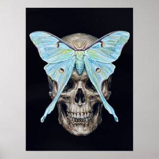 kull y Luna Moth — Póster Impasto Memento Mori