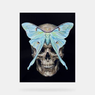 kull y Luna Moth — Póster Impasto Memento Mori