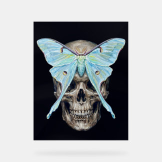 kull y Luna Moth — Póster Impasto Memento Mori