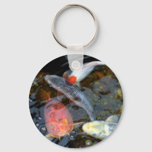 "Kung llavero de Fu Koi"