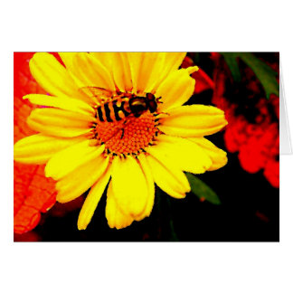 La abeja libera