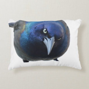 La almohada de Grackle