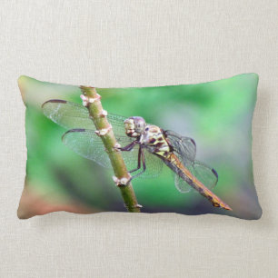 La almohada de la libélula