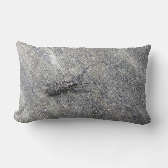 LA ALMOHADA DEL BUG (Anverso)