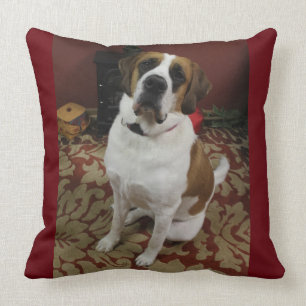 La almohada del comando del perro se sienta