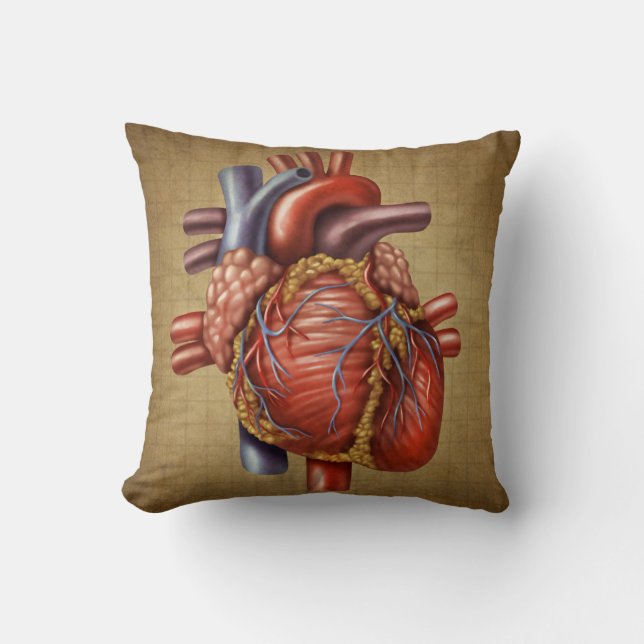 La almohada humana del corazón (Anverso)