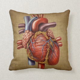 La almohada humana del corazón