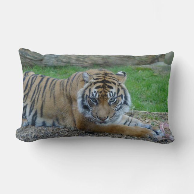 La almohada lumbar del tigre de papá (Anverso)