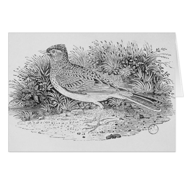 La alondra (Anverso (Horizontal))