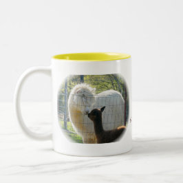 La alpaca besa la taza