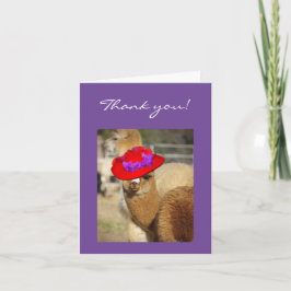 La alpaca le agradece las tarjetas