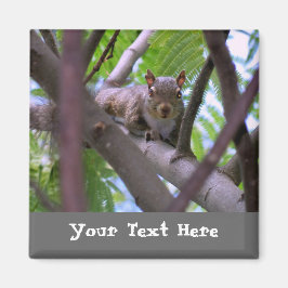 La ardilla en el imán de la hiedra arbolada