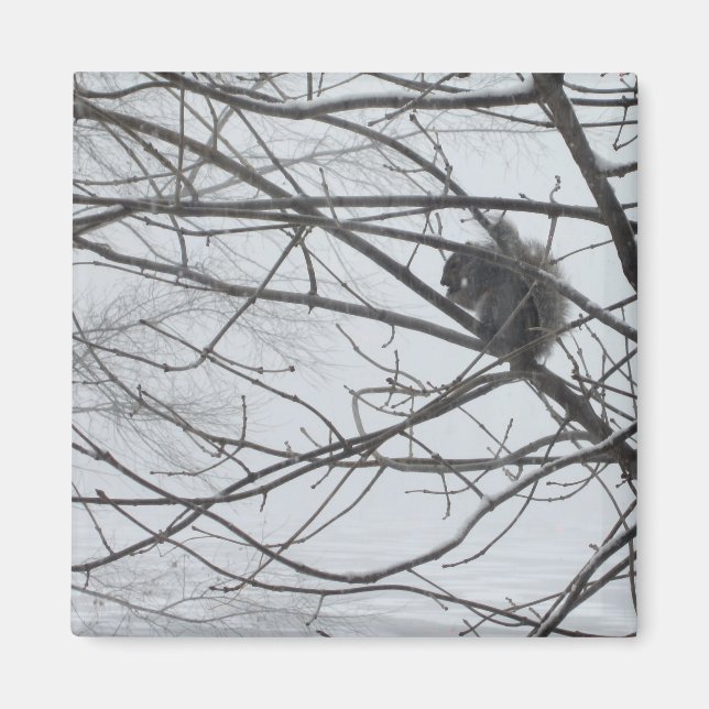 La ardilla en el imán de la nieve (Frente)